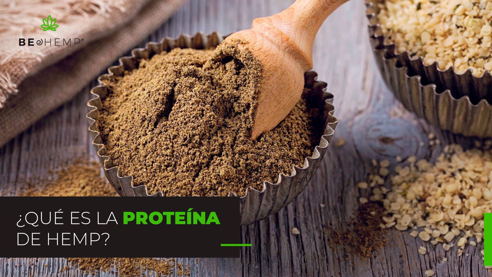Qué es la proteína de hemp – Beohemp